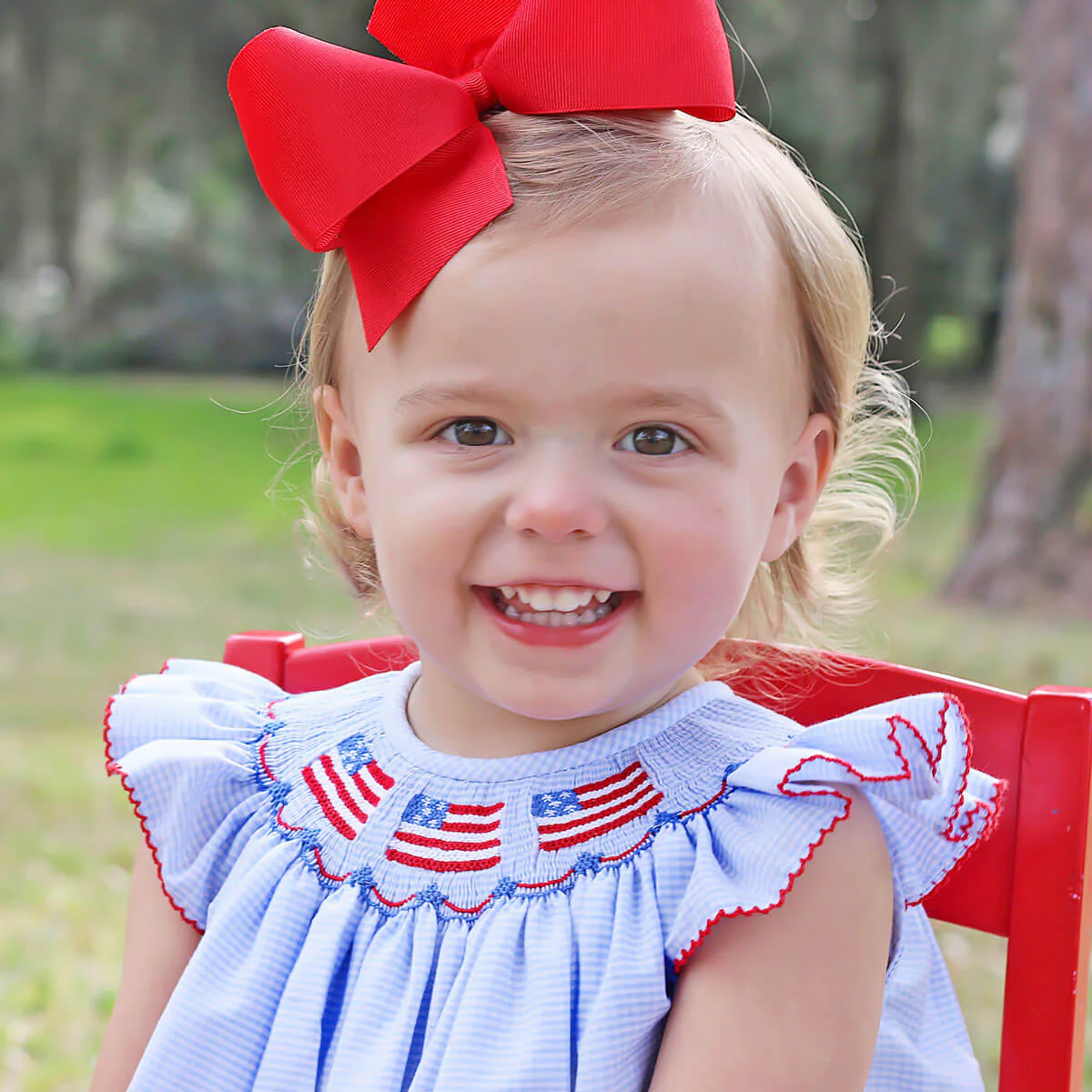 Light Blue Gingham Flag Smocked Bubble - Image 3